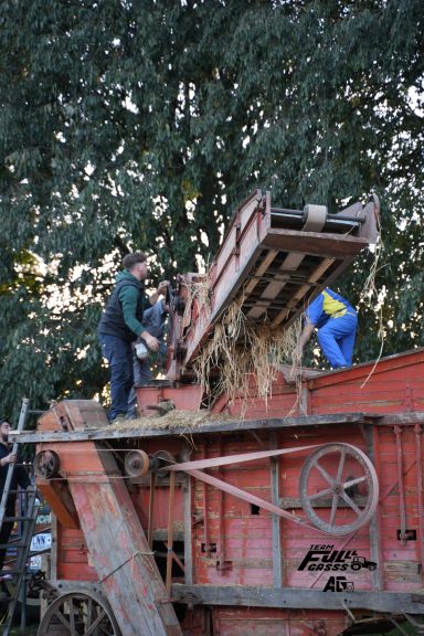 Riproduci contenuti in evidenza Foto di contesto pontevico 2023